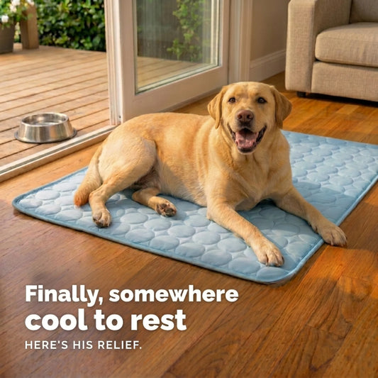 FrostMat™ 3.0 - Beat the Heat